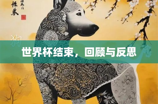 世界杯结束，回顾与反思