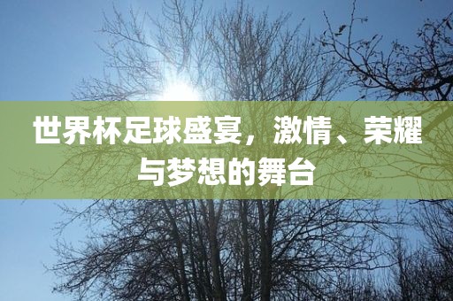 世界杯足球盛宴，激情、荣耀与梦想的舞台