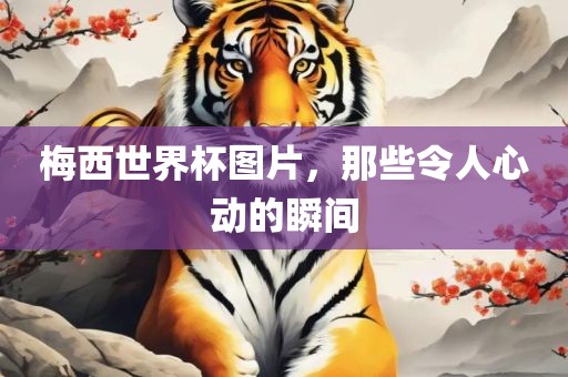 梅西世界杯图片，那些令人心动的瞬间