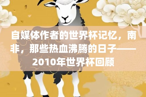 自媒体作者的世界杯记忆，南非，那些热血沸腾的日子——2010年世界杯回顾