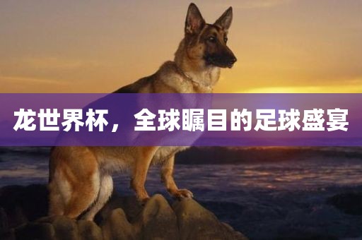 龙世漯河市盈旭机械设备有限公司界杯，全球瞩目的足球盛宴