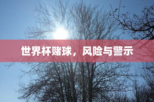 世界杯赌球，风险与警示