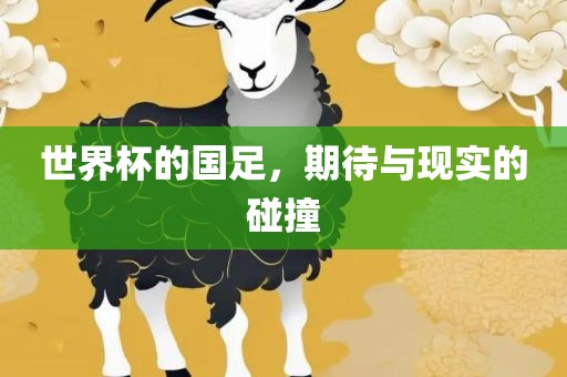 世界杯的国足，期待与现实的碰撞