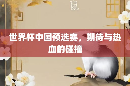 世界杯中国预选赛，期待与热血的碰撞