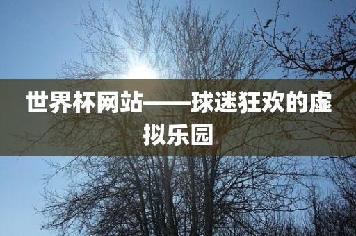 世界杯网站——球迷狂欢的虚拟乐园