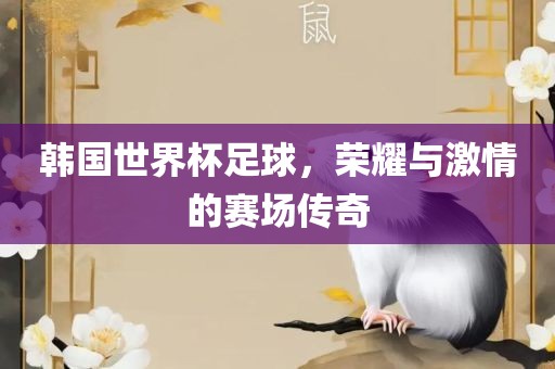 韩国世界杯足球，荣耀与激情的赛场传奇