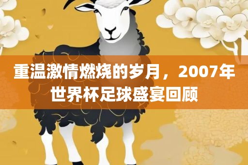 重温激情燃烧的岁月，2007年世界杯足球盛宴回顾