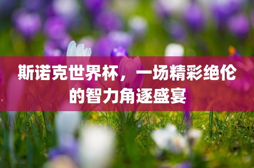 斯诺克世界杯，一场精彩绝伦的智力角逐盛宴漯河市盈旭机械设备有限公司