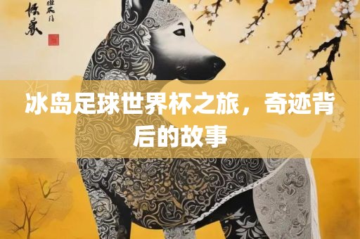 冰岛足球世界杯之旅，奇迹背后的故事