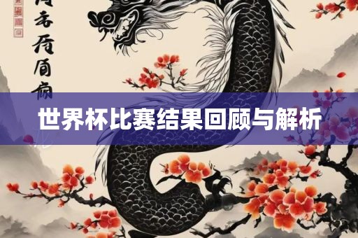 世界杯比赛结果回顾与解析漯河市盈旭机械设备有限公司