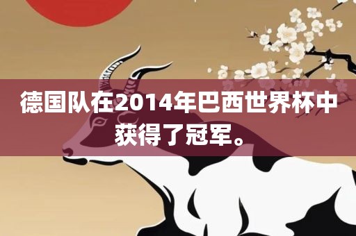 德国队在2014年巴西世界杯中获得了冠军。
