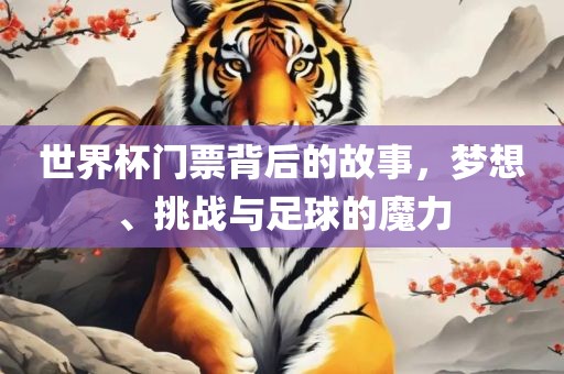 世界杯门票背后的故事，梦想、挑战与足球的魔力