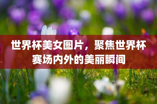 世界杯美女图片，聚焦世界杯赛场内外的美丽瞬间