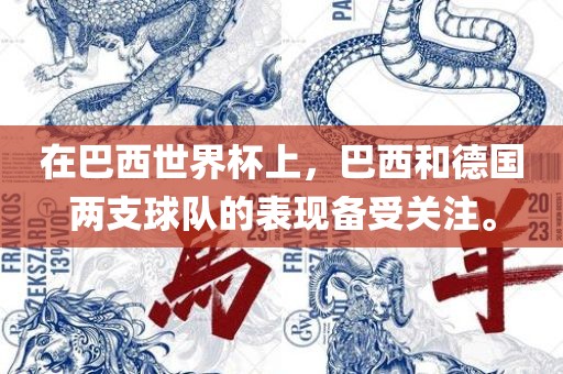 在巴西世界杯上，巴西和德国两支球队的表现备受关注。