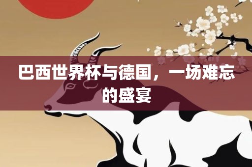 巴西世界杯与德国，一场难忘的盛宴