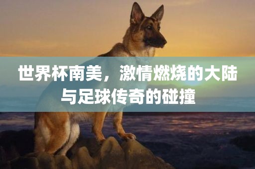 世界杯南美，激情燃烧的大陆与足球传奇的碰撞