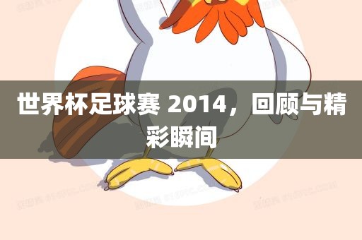 世界杯足球赛 2014，回顾与精彩瞬间