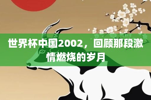世界杯中国2002，回顾那段激情燃烧的岁月