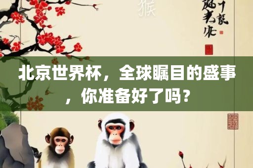 北京世界杯，全球瞩目的盛事，你准备好了吗？
