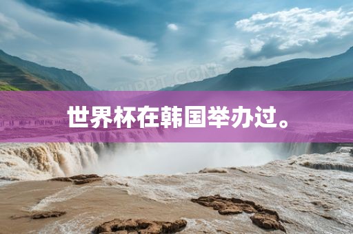 世界杯在韩国举办过。