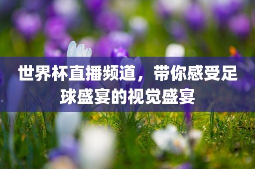世界杯直播频道，带你感受足球盛宴的视觉盛宴