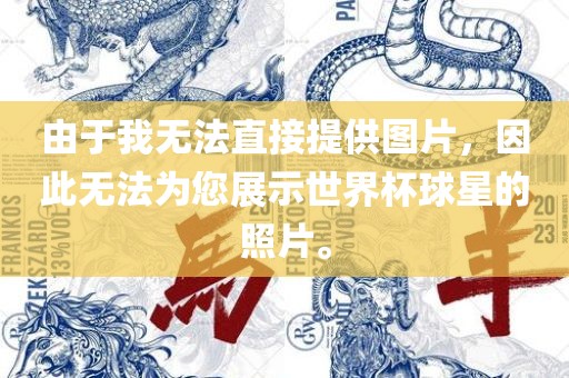 由于我无法直接提供图片，因此无法为您展示世界杯球星的照片。