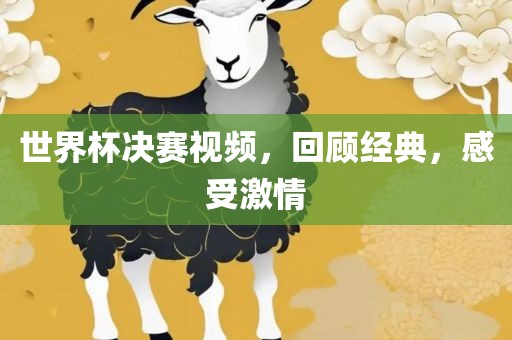 世界杯决赛视频，回顾经典，感受激情