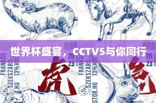 世界杯盛宴，CCTV5与你同行