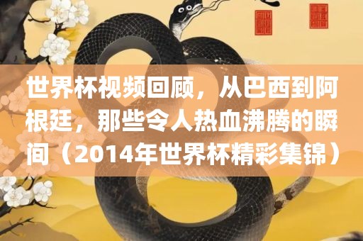 世界杯视频回顾，从巴西到阿根廷，那些令人热血沸腾的瞬间（2014年世界杯精彩集锦）