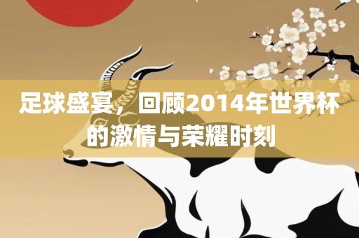 足球盛宴，回顾2014年世界杯的激情与荣耀时刻