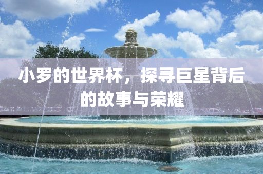 小罗的世界杯，探寻巨星背后的故事与荣耀