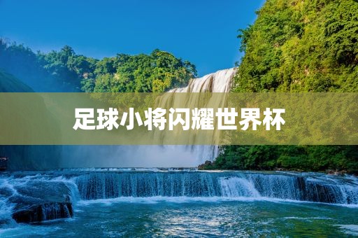 足球小将闪耀世界杯