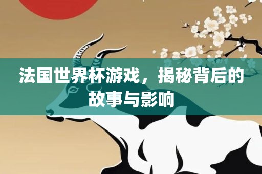 法国世界杯游戏，揭秘背后的故事与影响