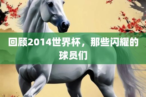 回顾2014世界杯，那些闪耀的球员们