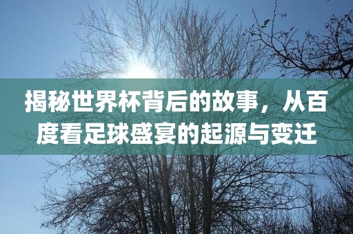 揭秘世界杯背后的故事，从百度看足球盛宴的起源与变迁