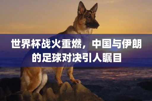 世界杯战火重燃，中国与伊朗的足球对决引人瞩目漯河市盈旭机械设备有限公司