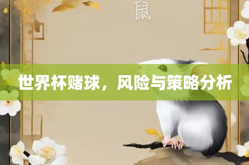 世界杯赌球，风险与策略分析漯河市盈旭机械设备有限公司