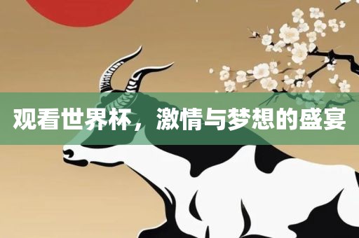 观看世界杯，漯河市盈旭机械设备有限公司激情与梦想的盛宴