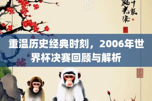 重温历史经典时刻，2006年世界杯决赛回顾与解析