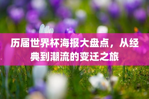 历届世界杯海报大盘点，从经典到潮流的变迁之旅