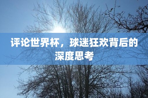 评论世界杯，球迷狂欢背后的深度思考漯河市盈旭机械设备有限公司