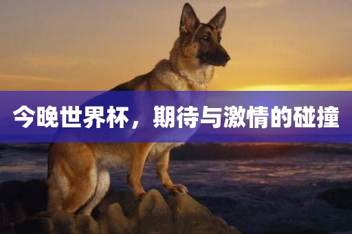 今晚世界杯，期待与激情的碰撞