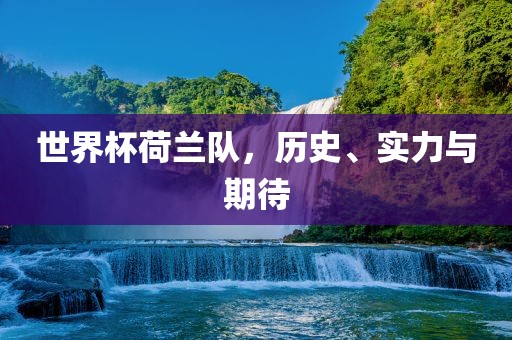 世界杯荷兰队，历史、实力与期待