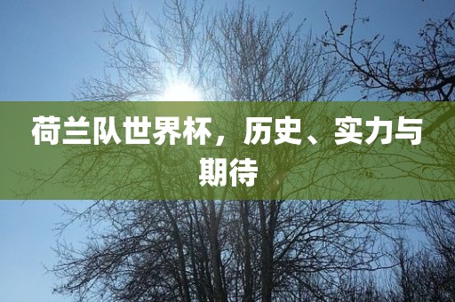 荷兰队世界杯，历史、实力与期待