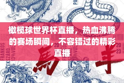 橄榄球世界杯直播，热血沸腾的赛场瞬间，不容错过的精彩直播