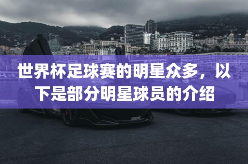 世界杯足球赛的明星众多，以下是部分明星球员的介绍漯河市盈旭机械设备有限公司