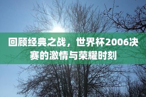 回顾经典之战，世界杯2006决赛的激情与荣耀时刻