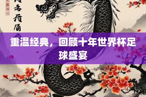 重温经典，回顾十年世界杯足球盛宴