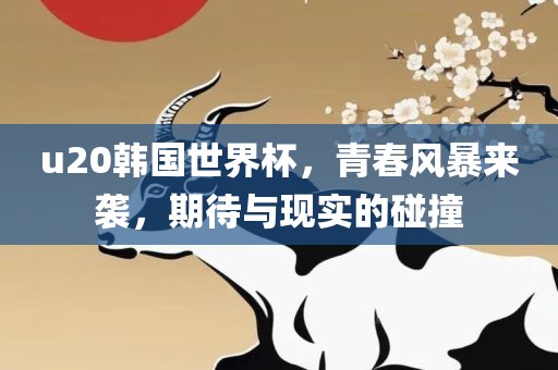 u20韩国世界杯，青春风暴来袭，期待与现实的碰撞