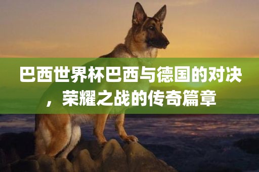 巴西世界杯巴西与德国的对决，荣耀之战的传奇篇章